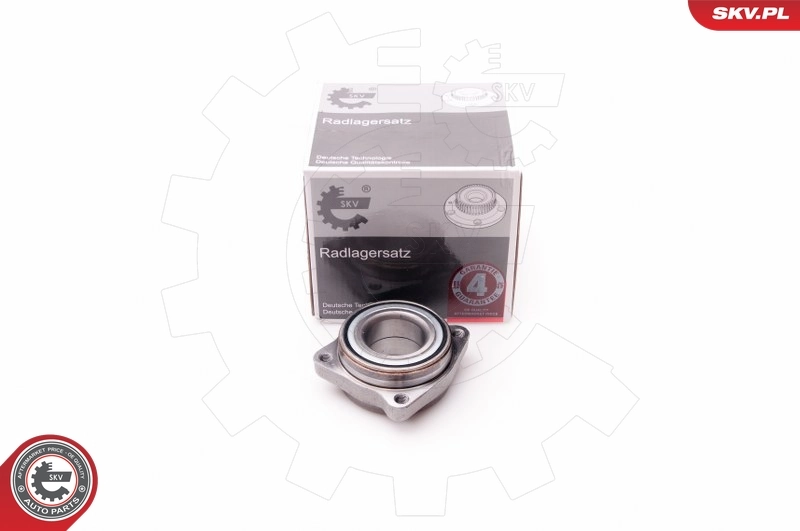 Wheel Bearing Kit